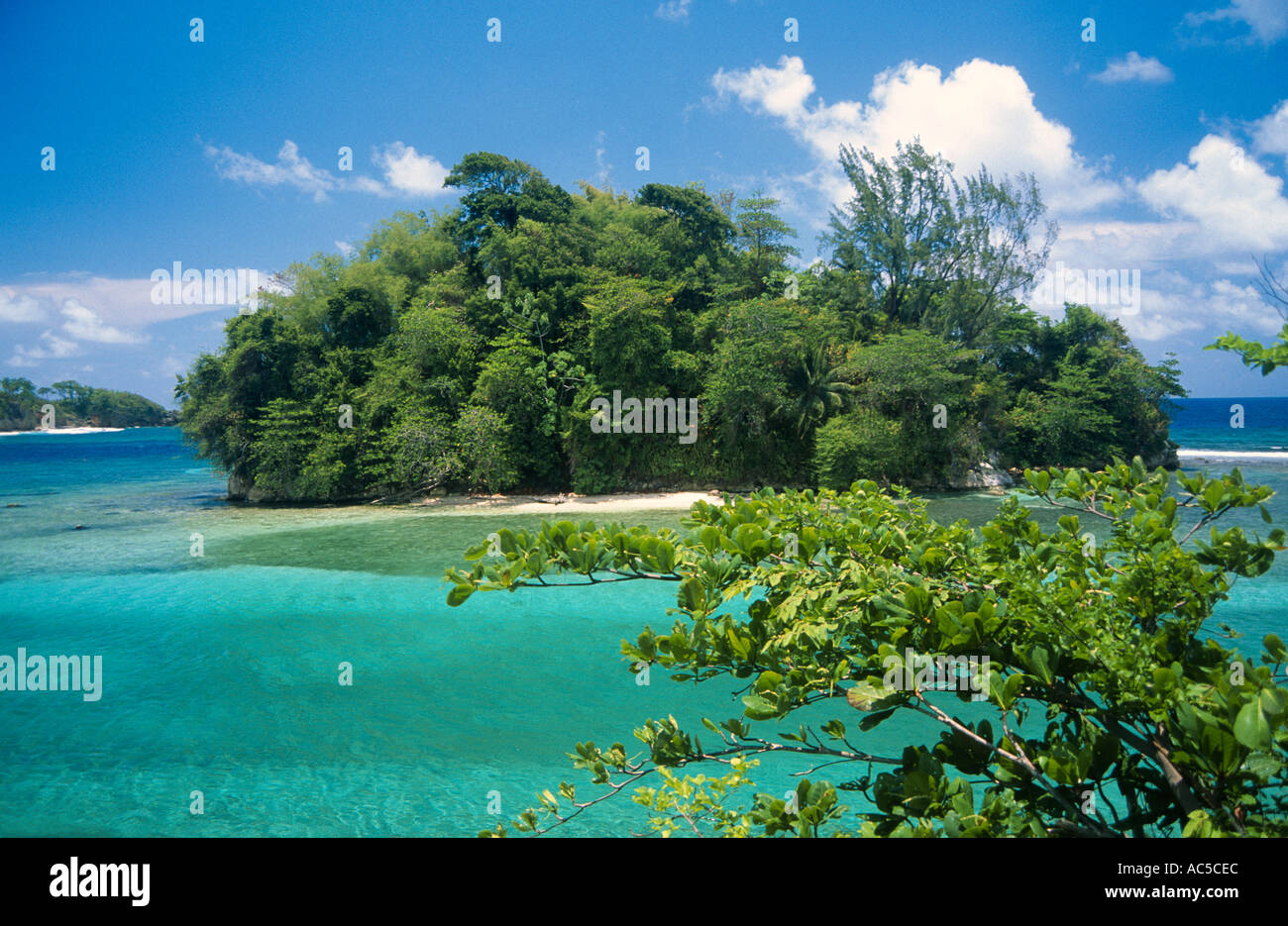 monkey island jamaica monkey island jamaica