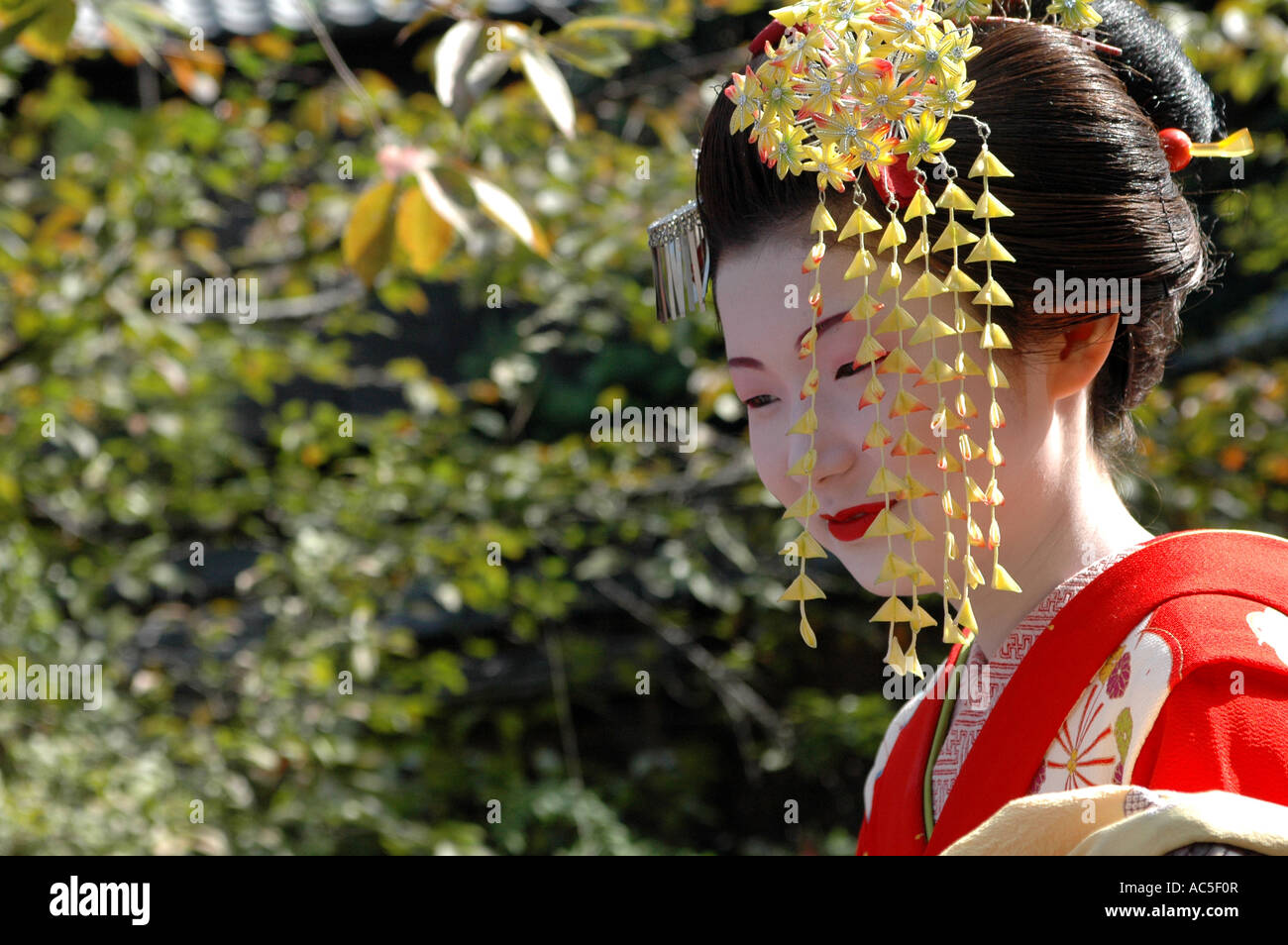 A maiko trainee geisha in the Gion district in Kyoto, Japan Stock Photo