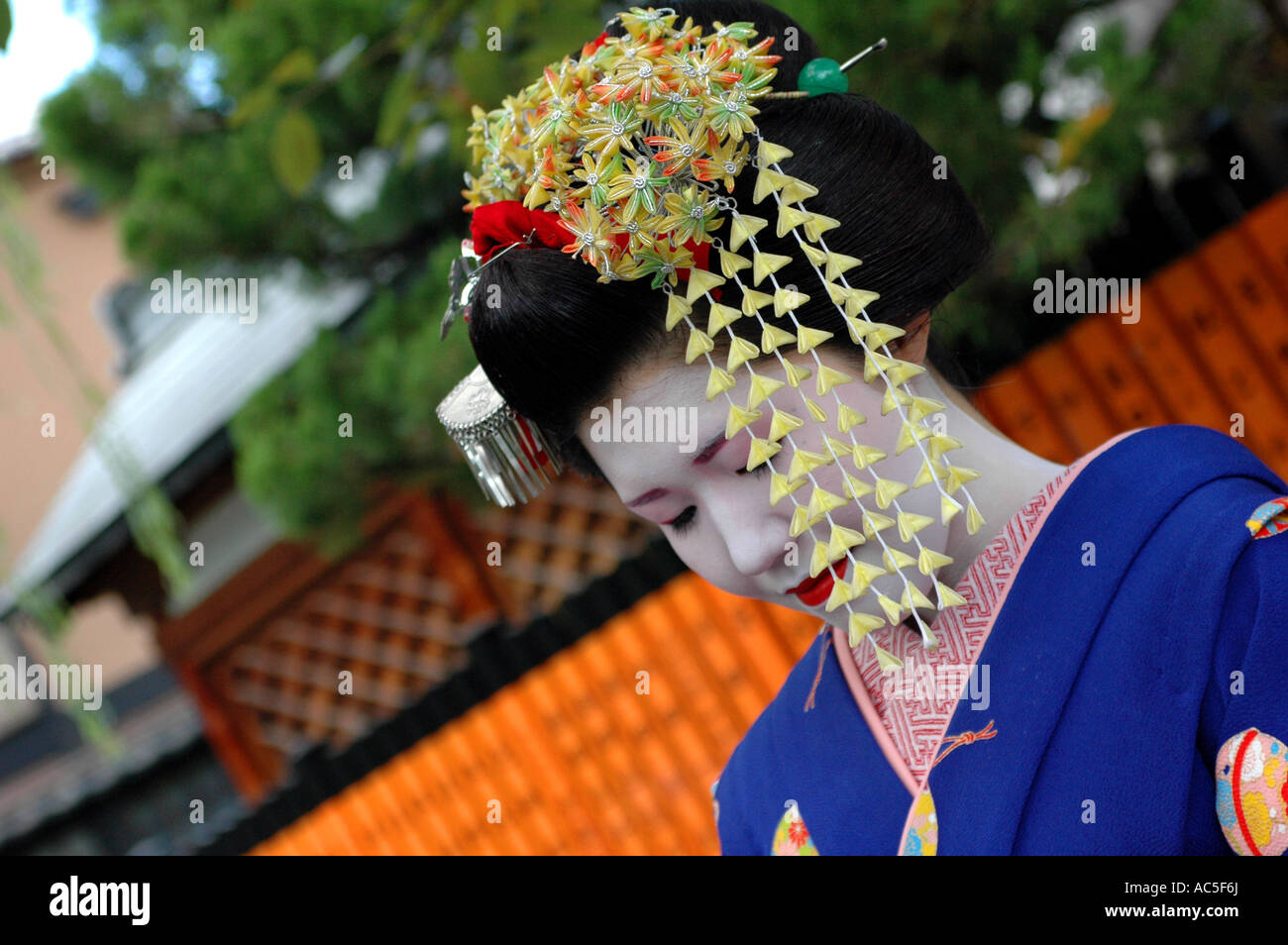 A maiko trainee geisha in the Gion district in Kyoto, Japan Stock Photo