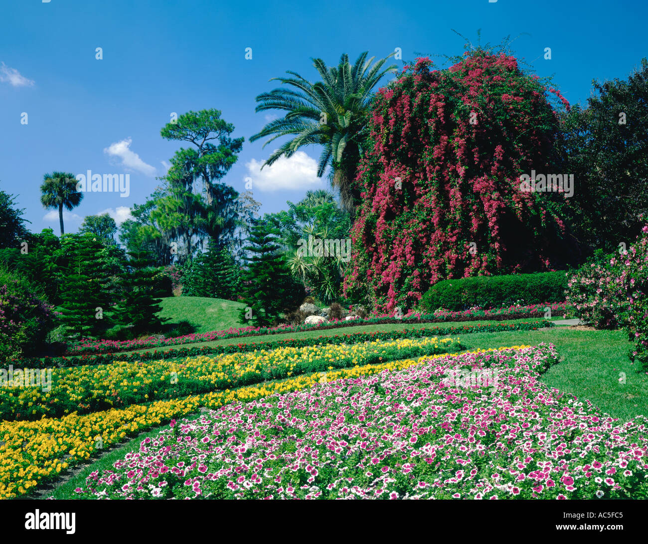 Cypress Gardens Florida USA Stock Photo Alamy