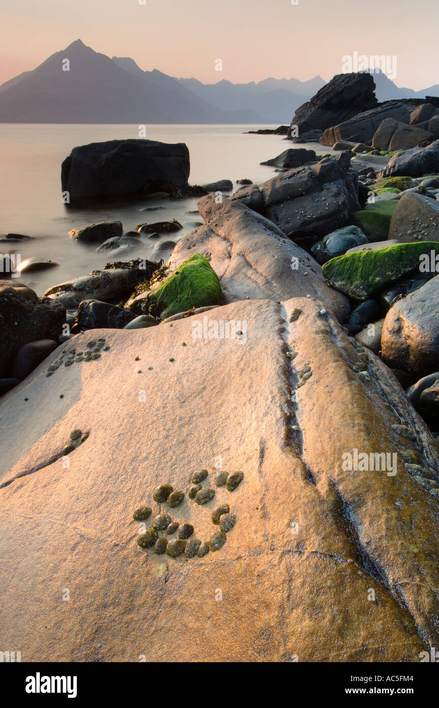 Evening Light Cuillin mountains and Loch Scavaig Elgol Isle of Skye Scotland UK Stock Photo