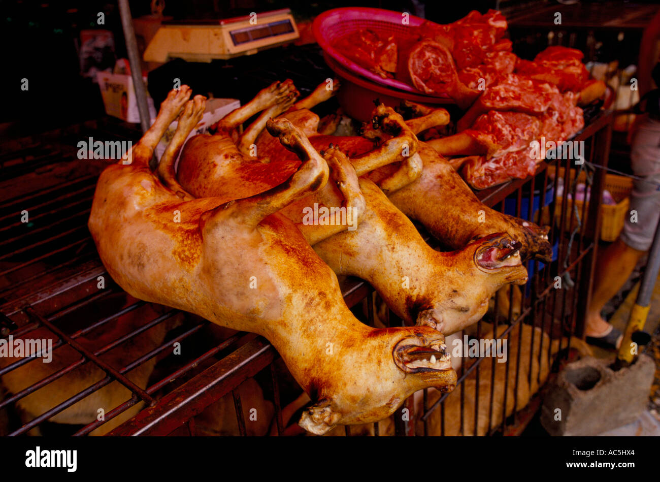 Dog meat cages korea hires stock photography and images Alamy