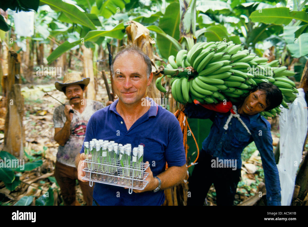 Honduras bananas hi-res stock photography and images - Alamy