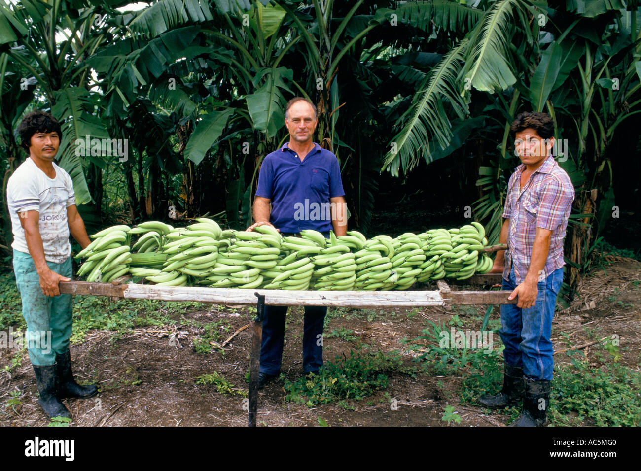 Honduras bananas hires stock photography and images Alamy