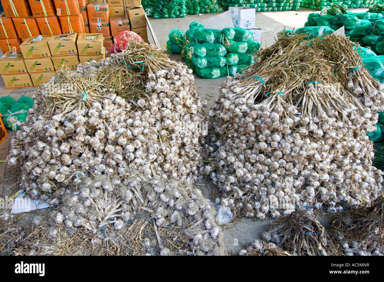 Bundles of Whole Garlic Co op Produce Consolidator Jecheon Chungcheongbuk Do Province South Korea Stock Photo