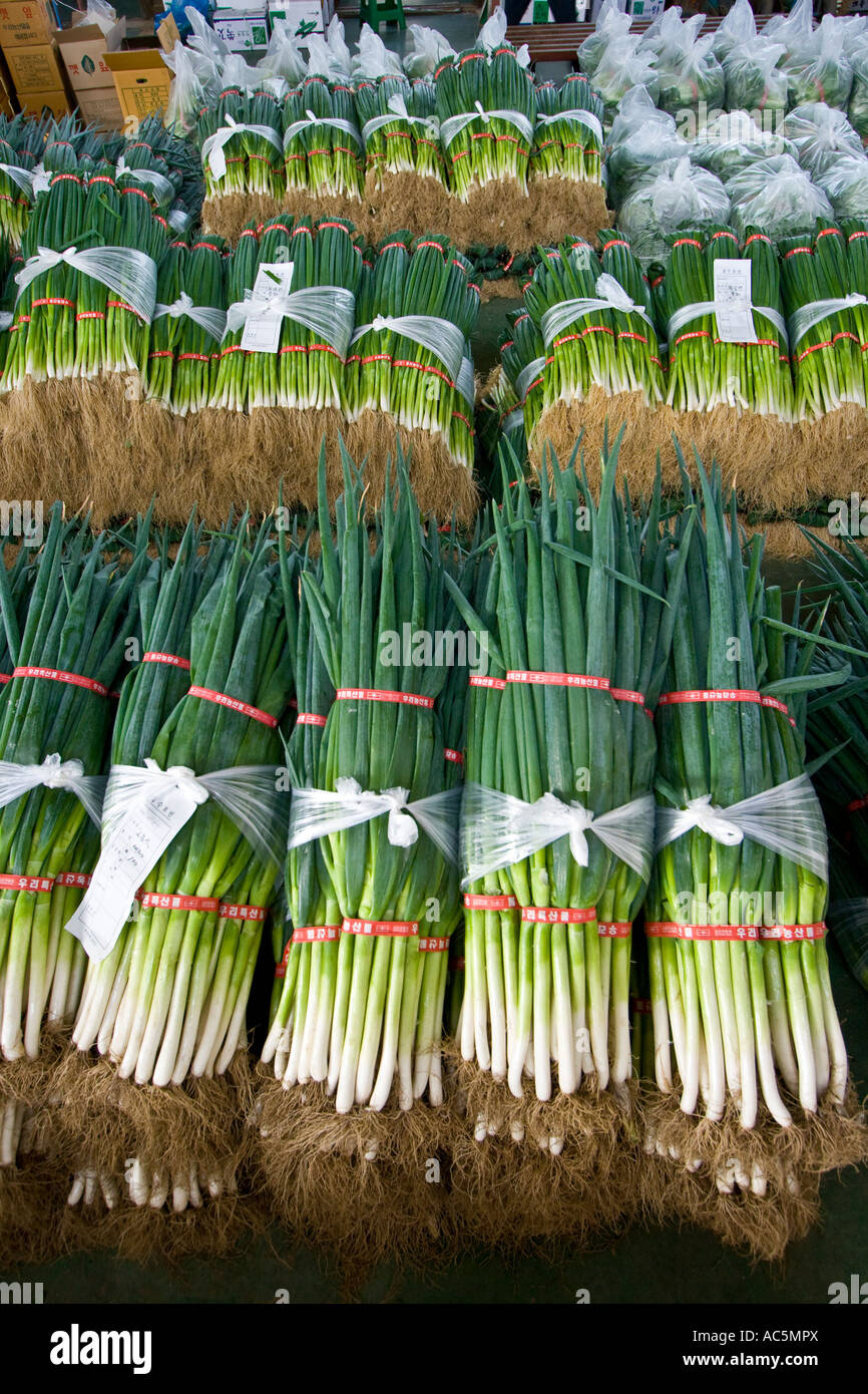 Fresh Vegetables Co op Produce Consolidator Jecheon Chungcheongbuk Do Province South Korea Stock Photo