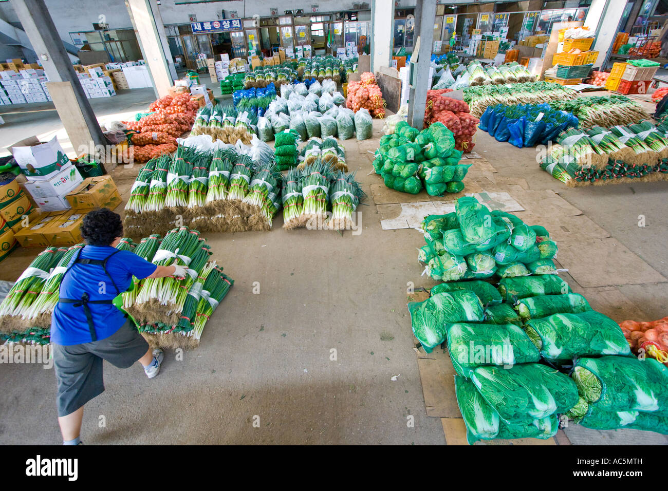 Fresh Vegetables in Warehouse Co op Produce Consolidator Jecheon