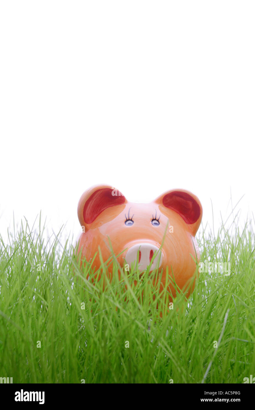 Piggy bank in blades of grass close up Stock Photo