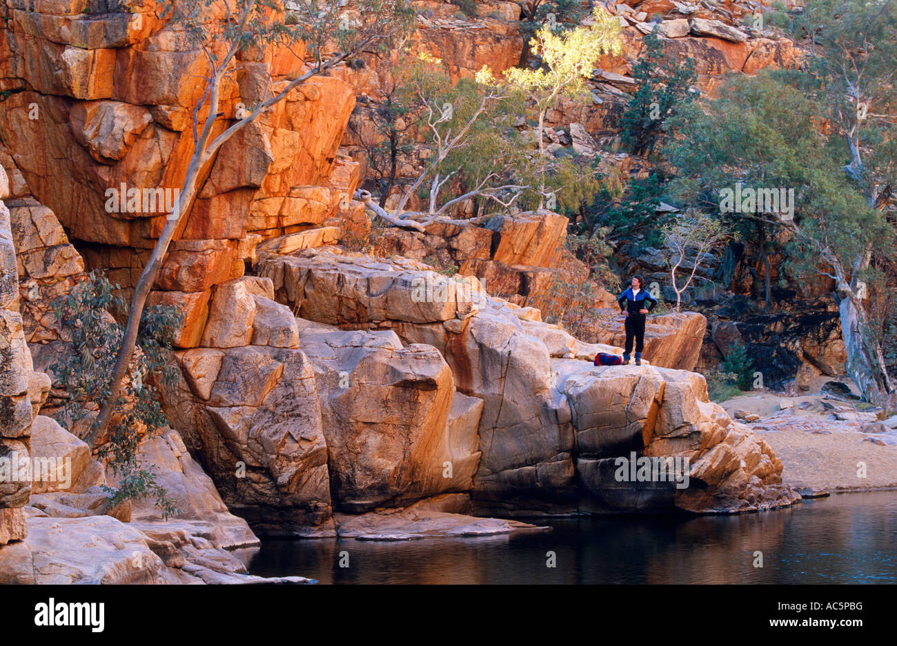 Waterhole, Larapinta Trail, West MacDonnells National Park, Central Australia, horizontal Stock Photo