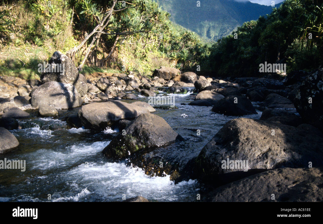 The Hanakapiai stream Hanakapiai Beach Kalalau Trail Kokee State Park Na Pali coast Kauai Hawaii