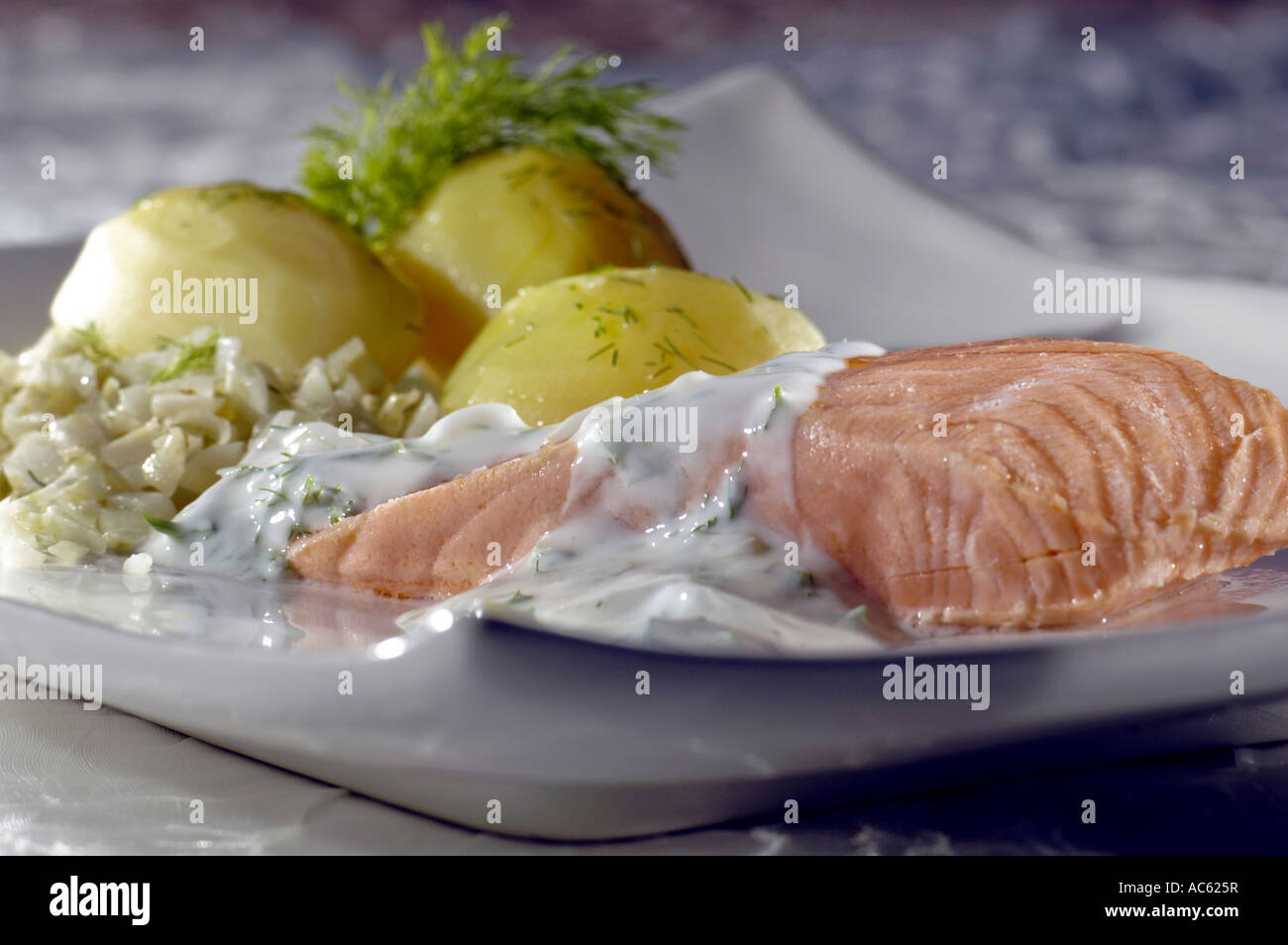 Salmon with white sauce Stock Photo - Alamy