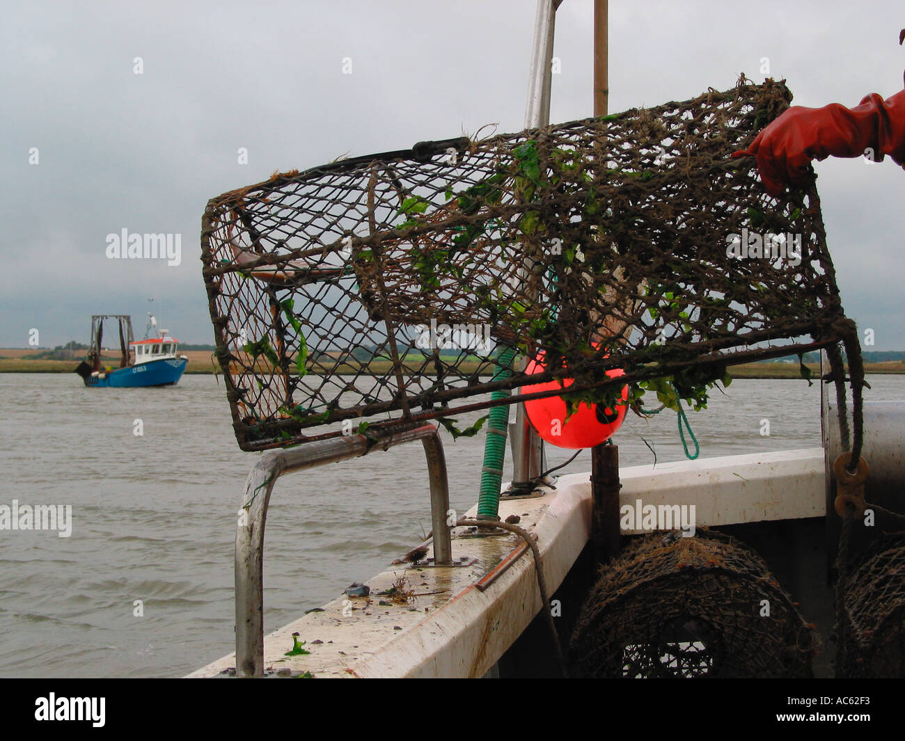Lobster and Crab Fishing River Ore near Orford East Coast Suffolk