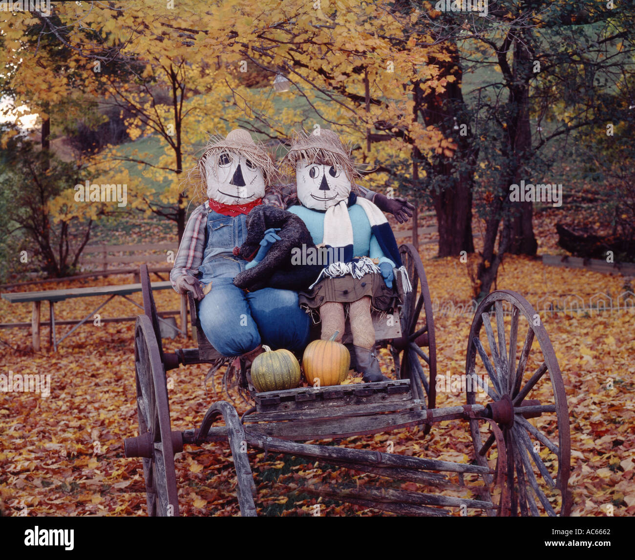 Autumn tradition in Vermont with a farm wagon carrying two humorously dressed scarecrows celebrating the harvest season Stock Photo