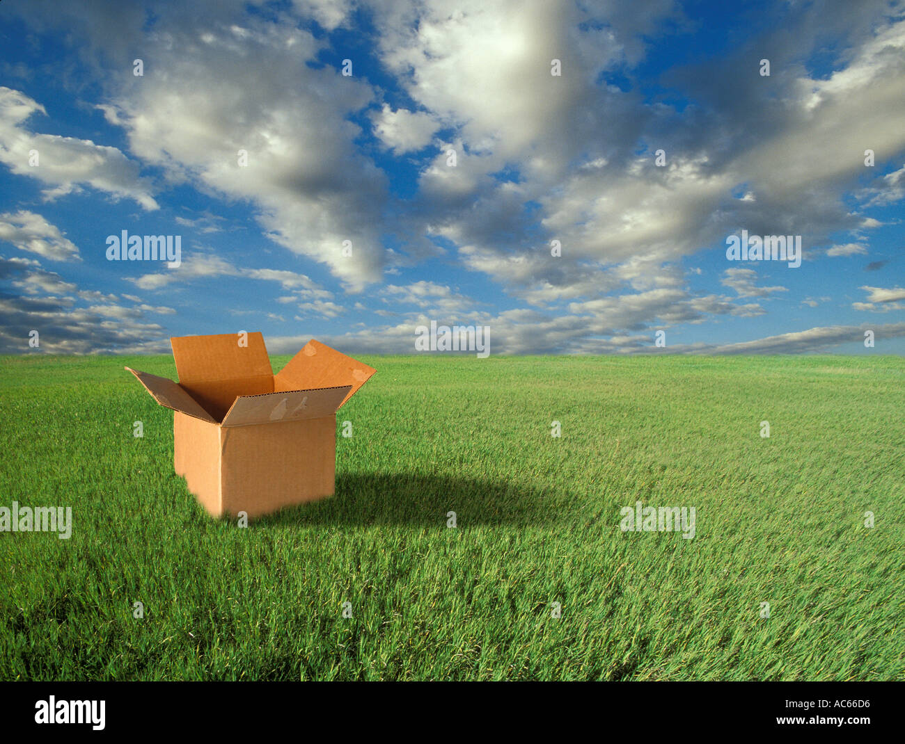 Empty box in a field of grass Stock Photo