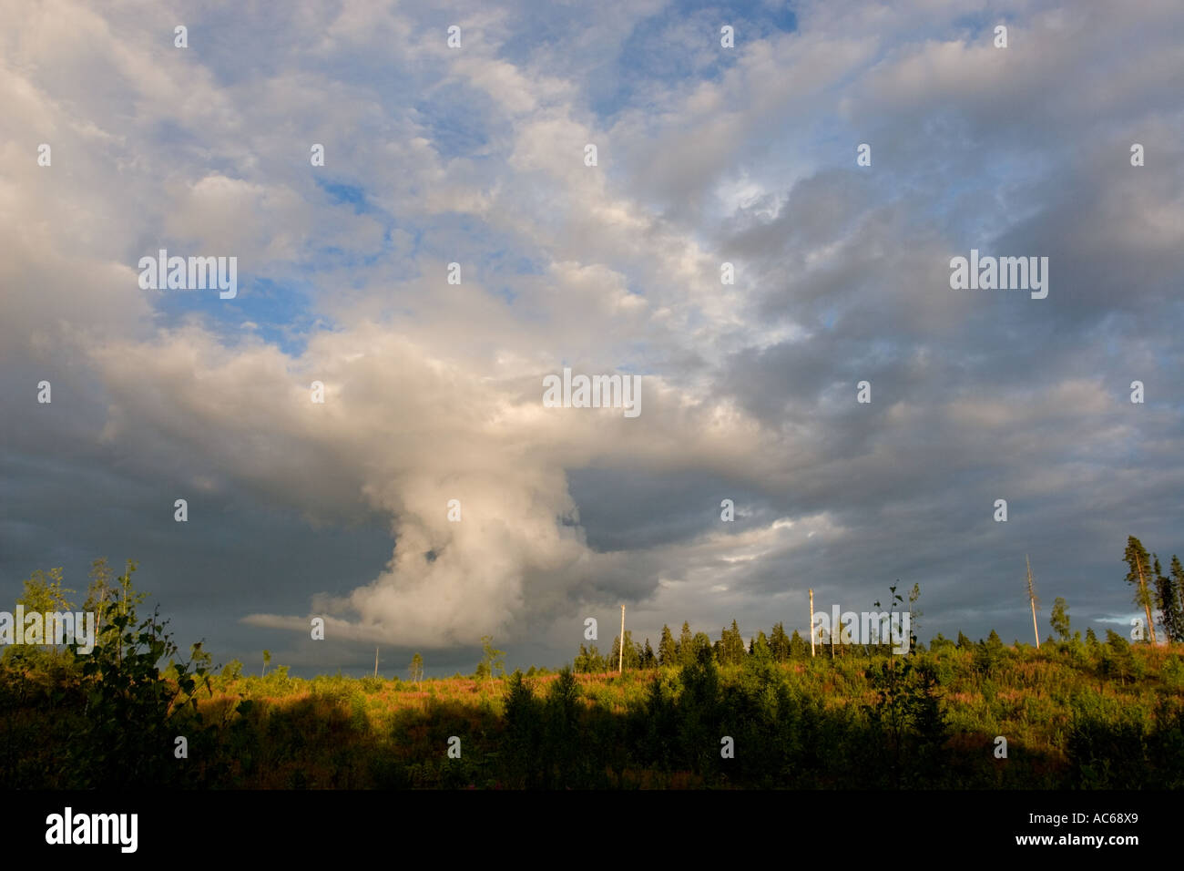Anvil shaped thunderstorm cell forming , Finland Stock Photo