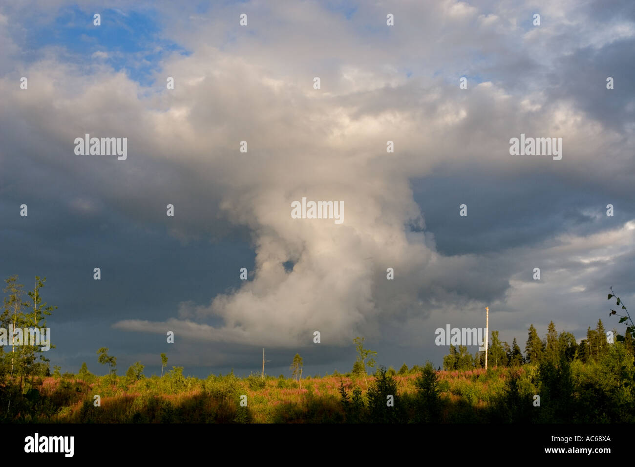 Thunderstorm cell forming , Finland Stock Photo