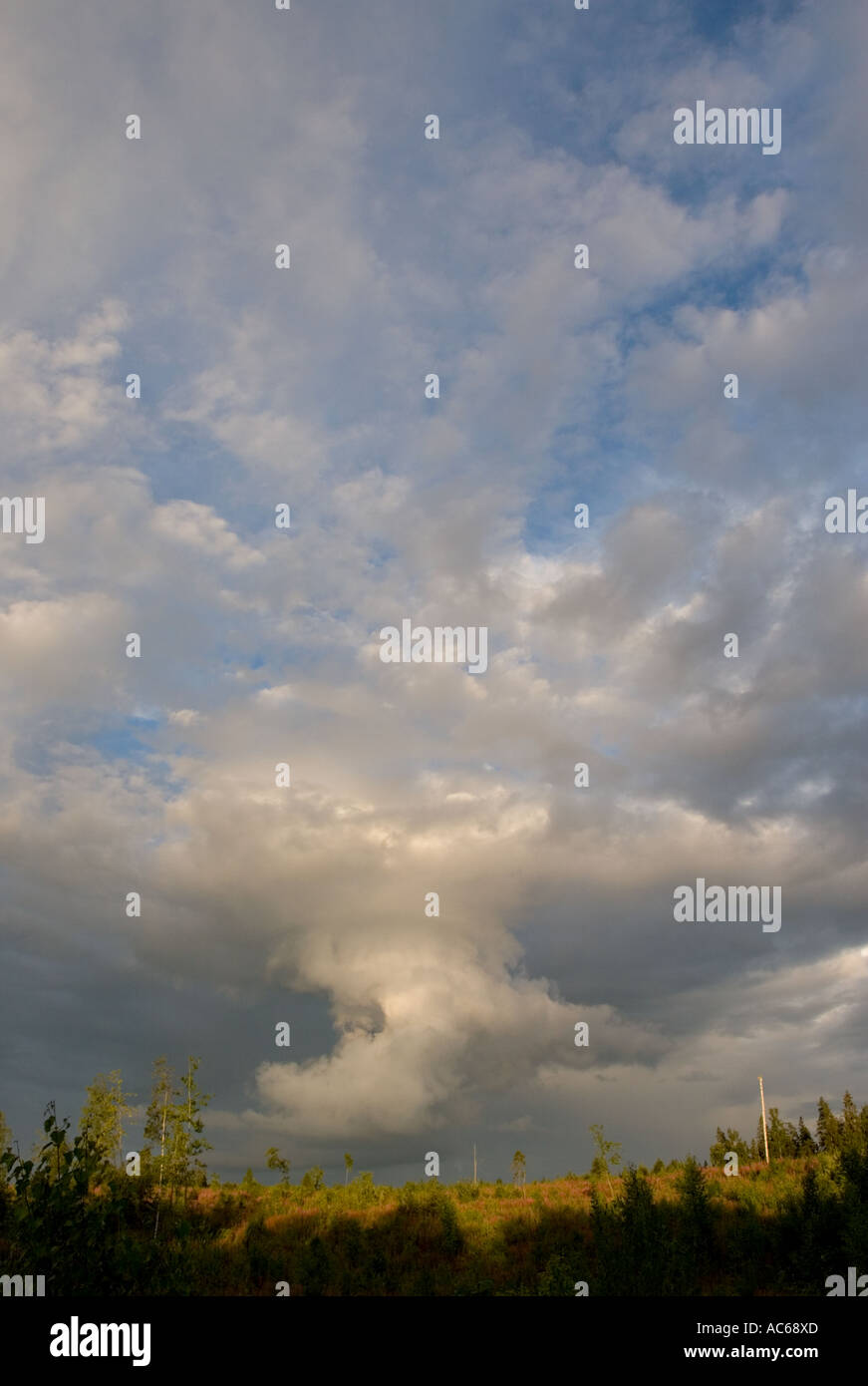 Thunderstorm cell forming , Finland Stock Photo