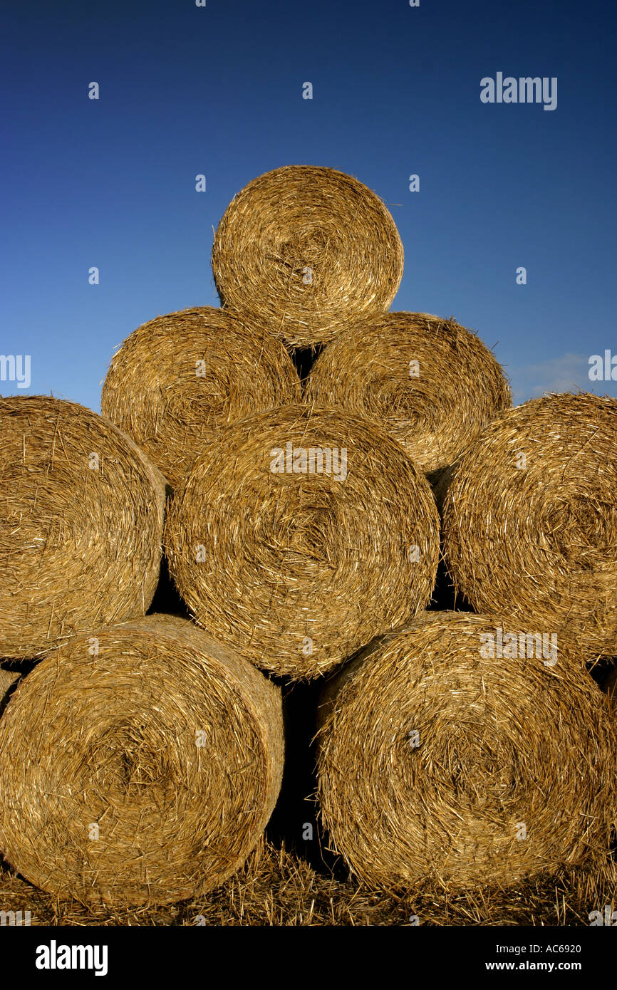 Stack of Circular Straw Bales Stock Photo