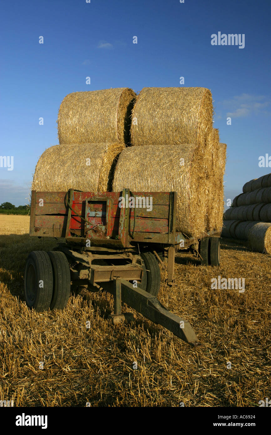 Circular Straw Bales on Farm Trailer Stock Photo