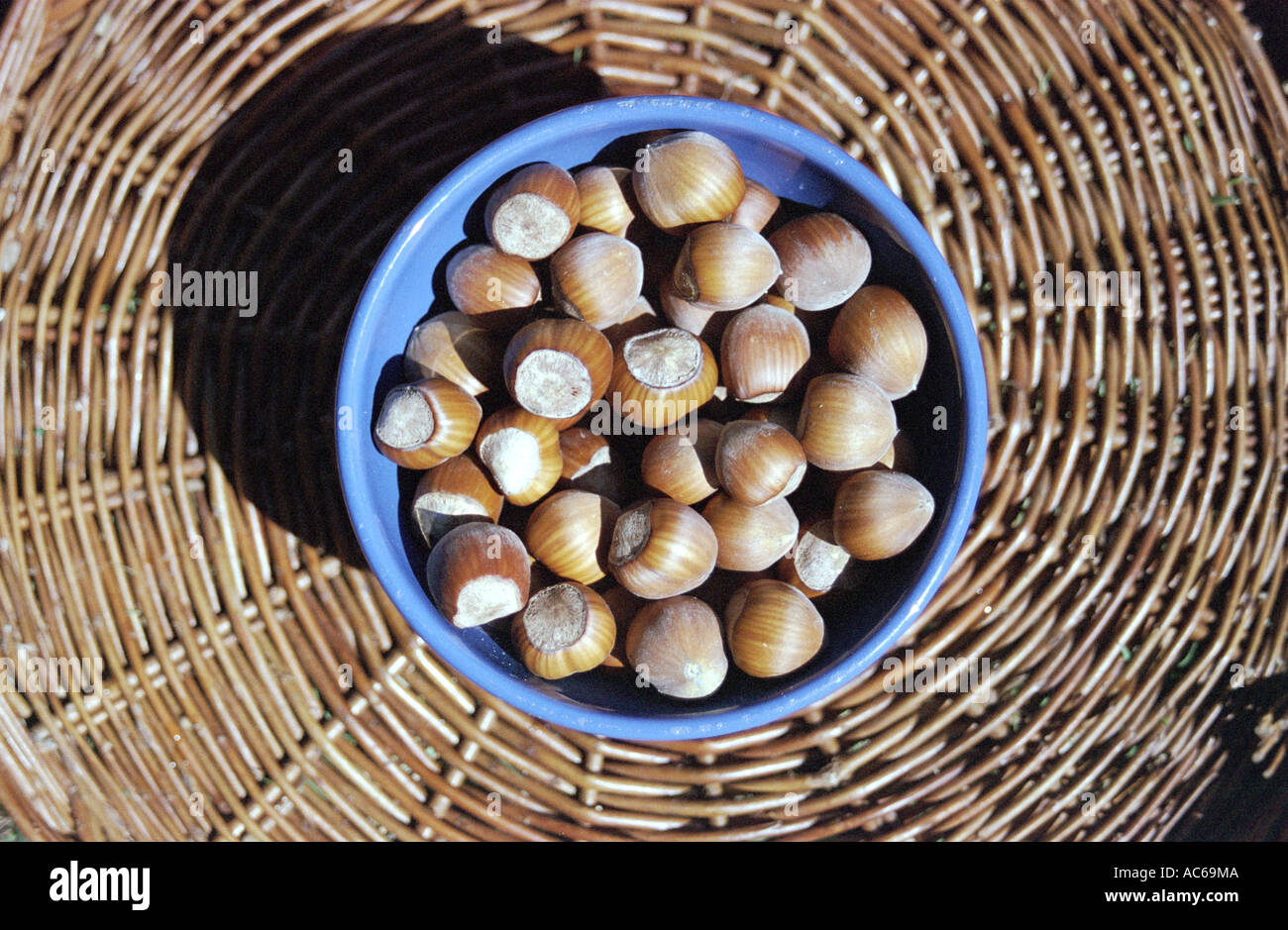 nuts Stock Photo