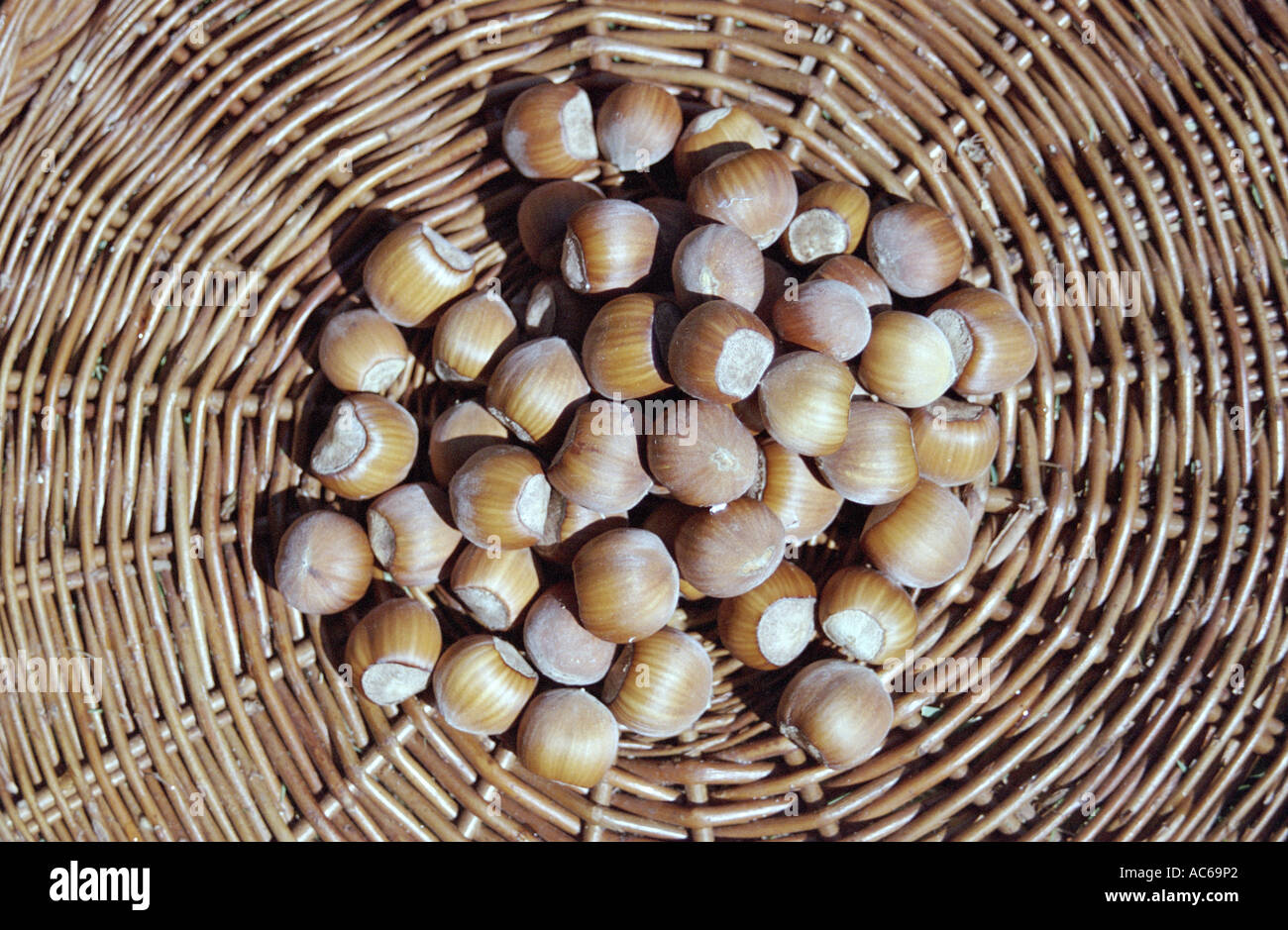 nuts Stock Photo