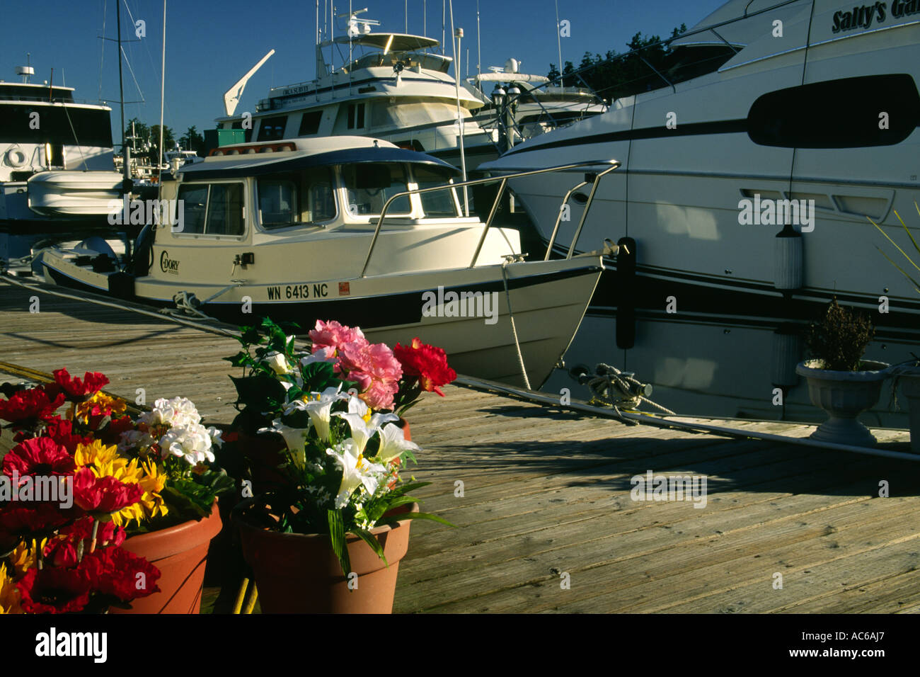 Roche Harbour marina and powerboats moored with flowerpots on decking San Juan Islands Washington Pacific Northwest USA Stock Photo