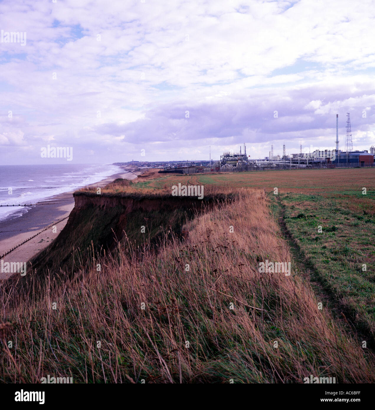 Cliff erosion and revetments used as coastal defence Bacton gas terminal Norfolk England Stock Photo