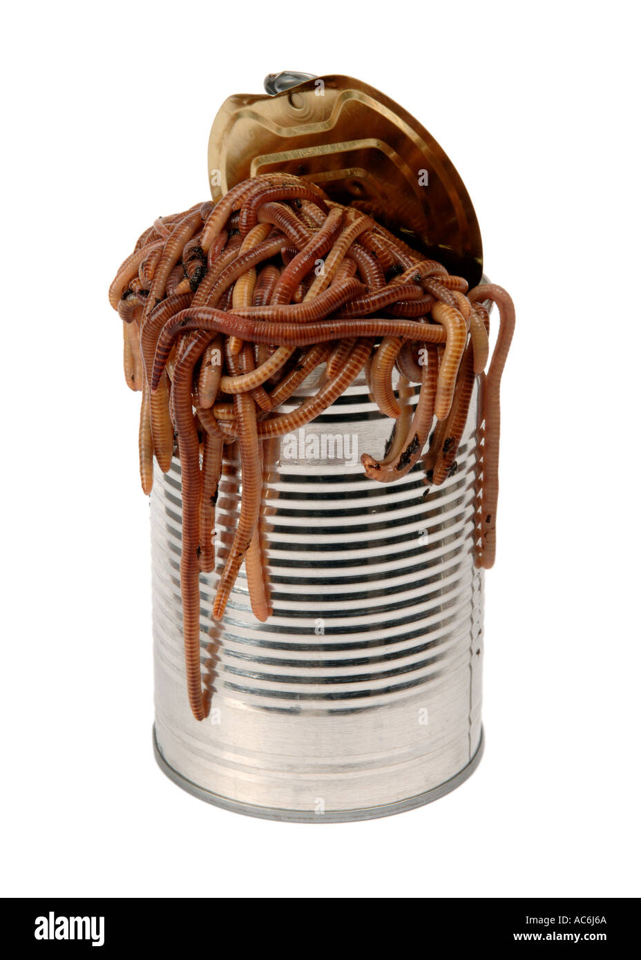 Open can of worms Stock Photo