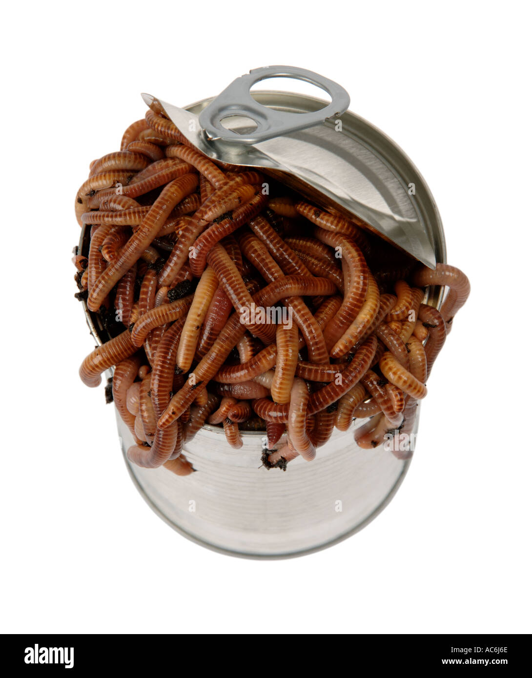 Can of worms hires stock photography and images Alamy