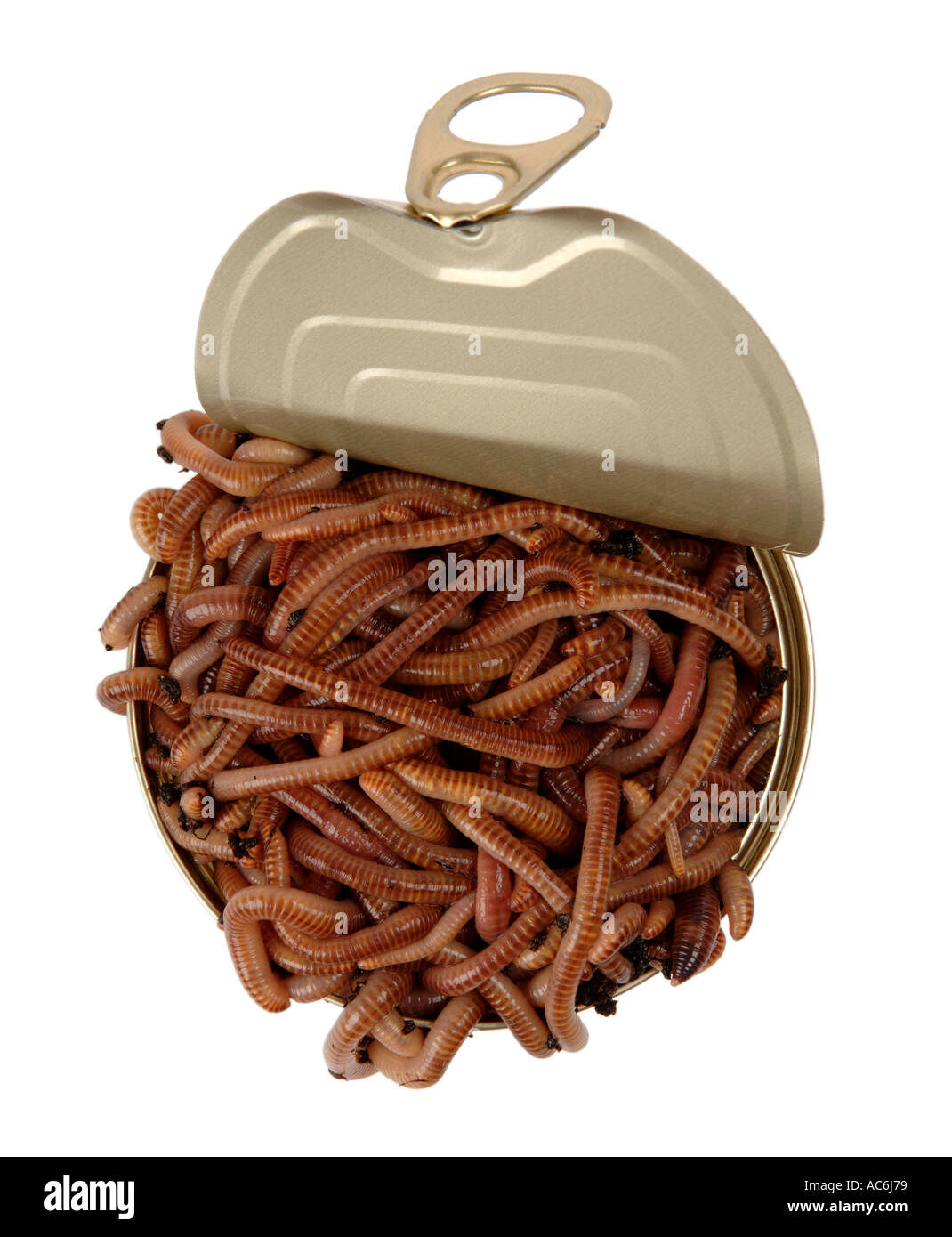 Open can of worms Stock Photo