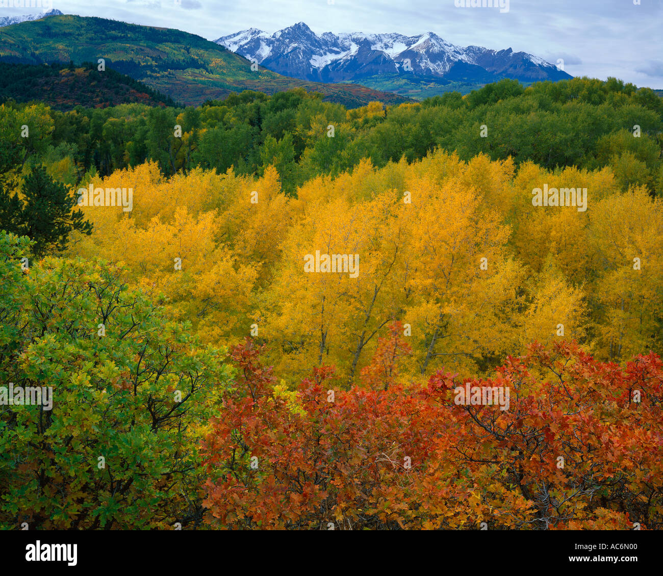 San juan creek hi-res stock photography and images - Alamy