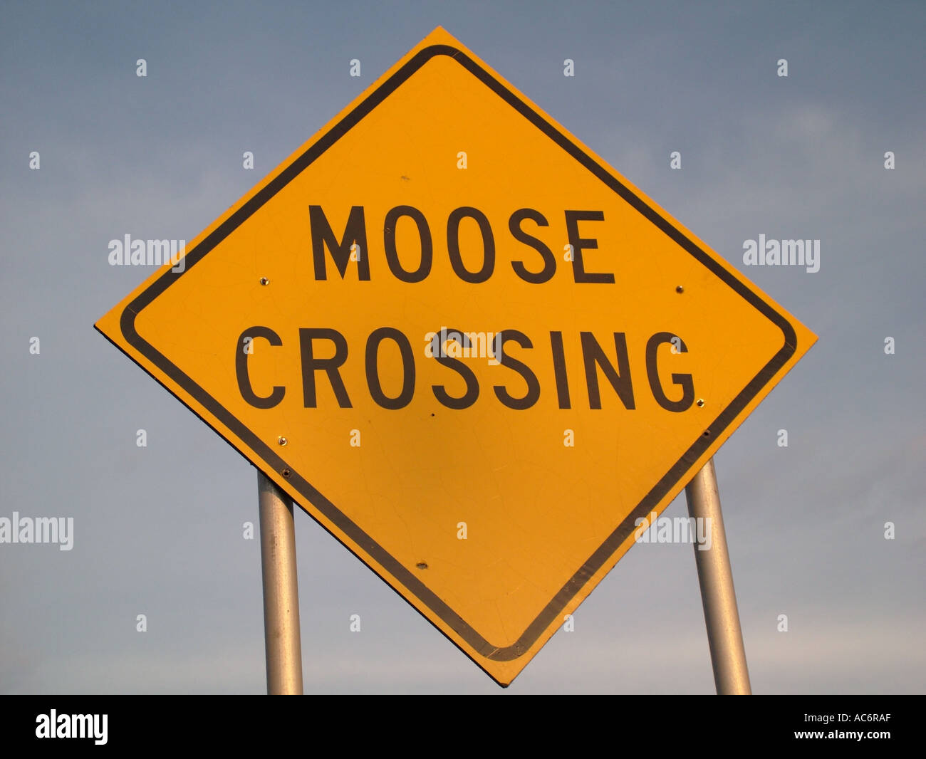 AJD43016, road signs, Moose Crossing Stock Photo - Alamy