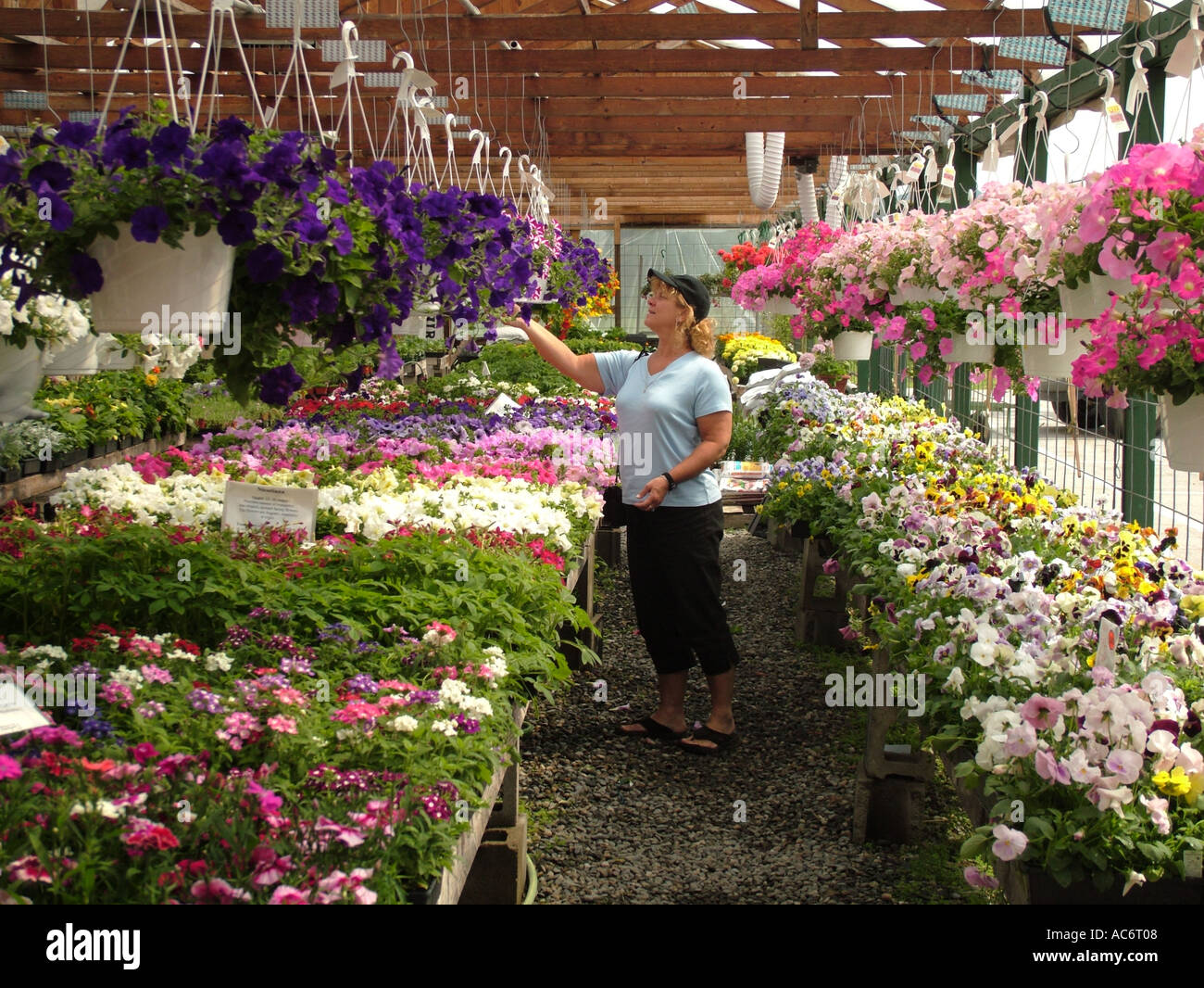 North plainfield hi-res stock photography and images - Alamy