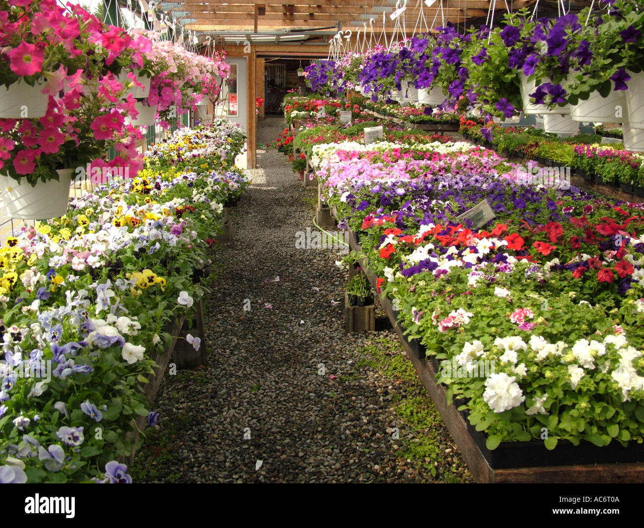 North plainfield hires stock photography and images Alamy