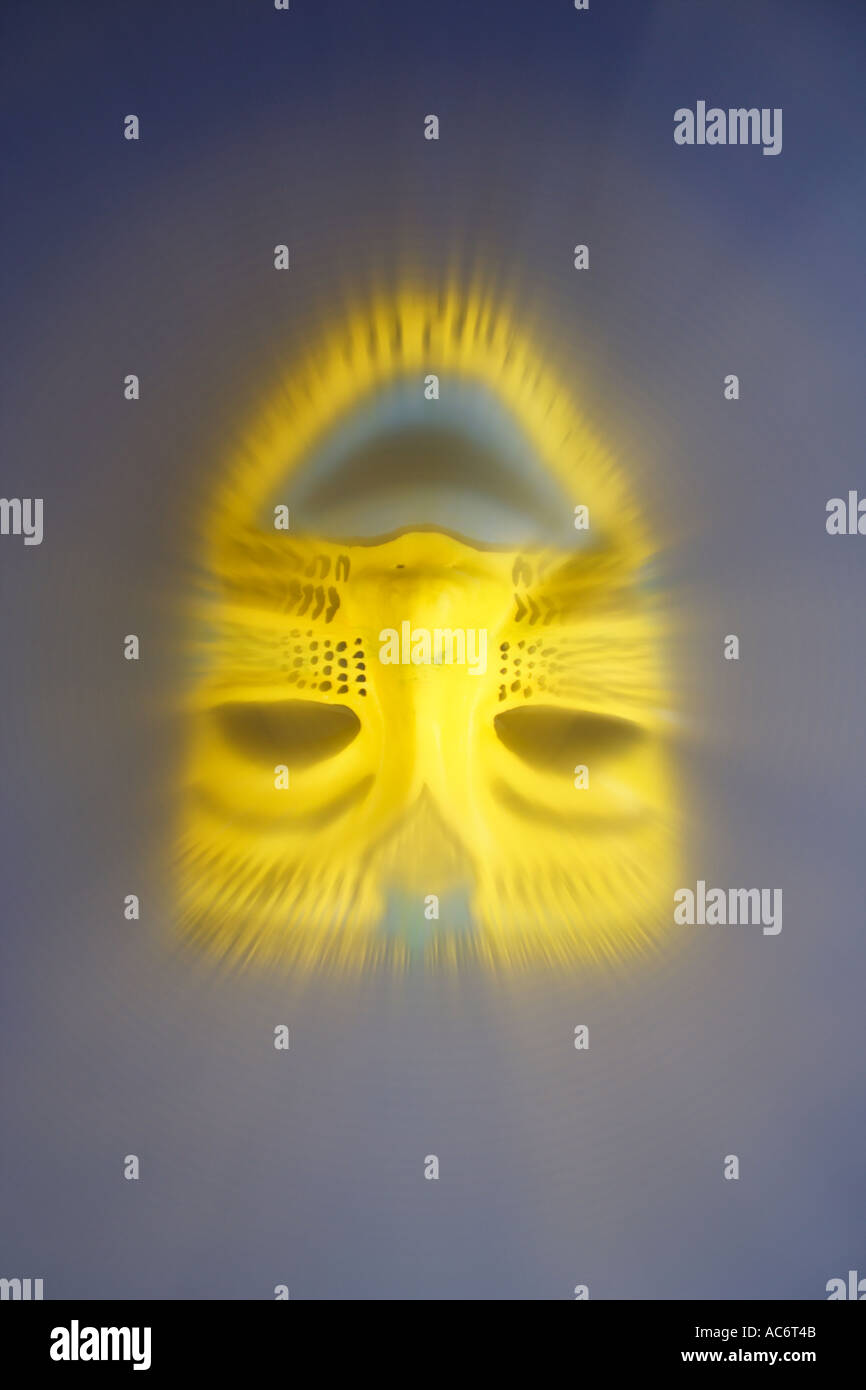 Download Yellow And Blue Painted Mask Blue Background Bapd2366 Stock Photo Alamy PSD Mockup Templates