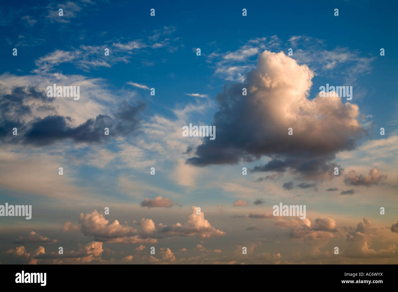 Fluffy white cloud in blue sky soon before dusk Stock Photo - Alamy