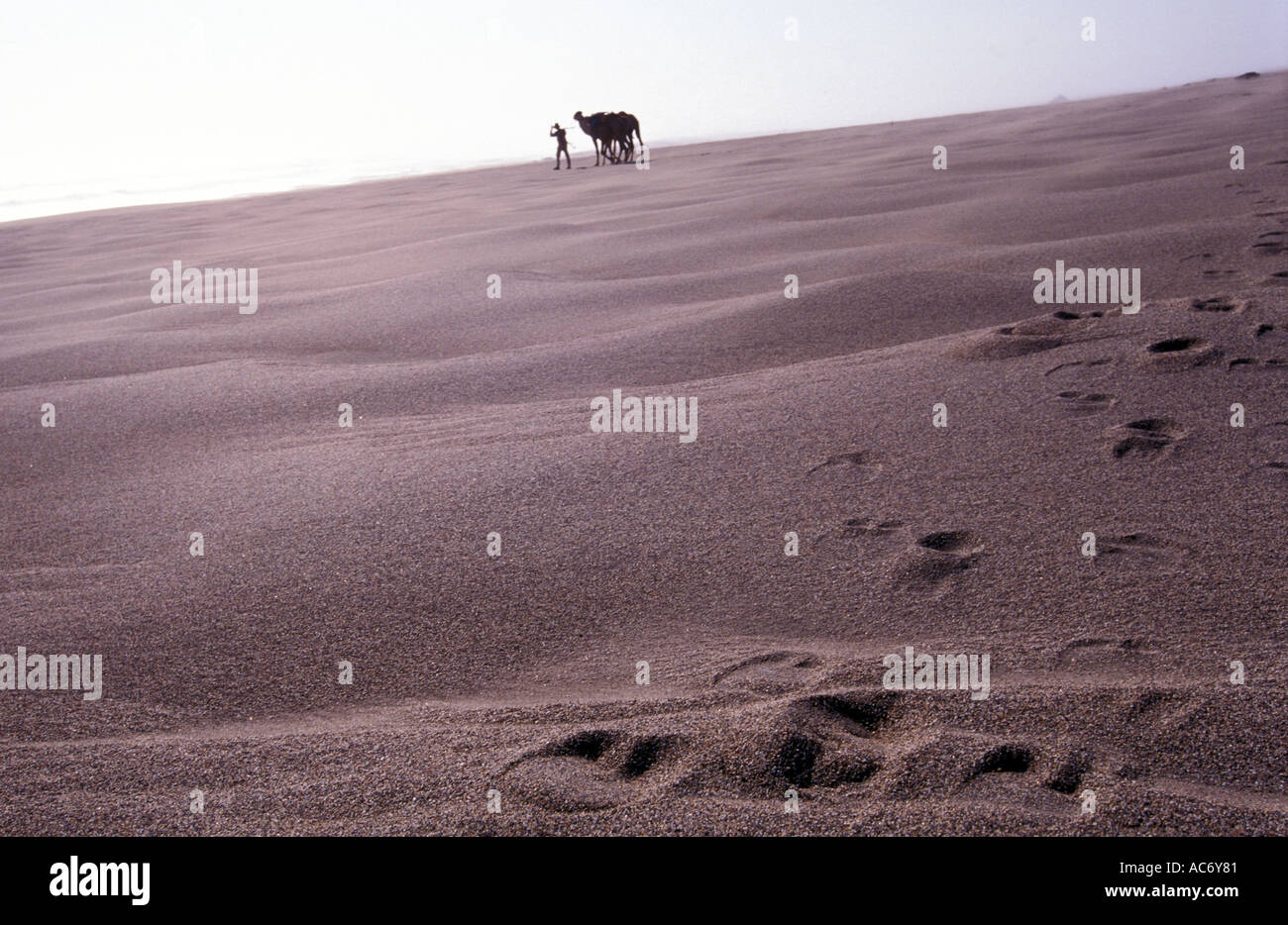 Benedict Allen on his journey through the Namib Naukluft desert Stock Photo