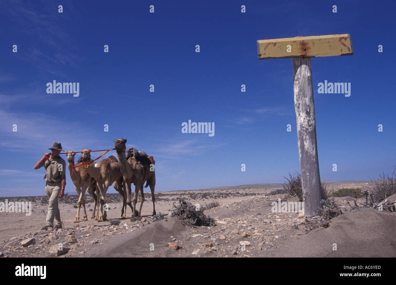 Benedict Allen on his journey through restricted Diamond mining region of the Namib Naukluft desert Stock Photo
