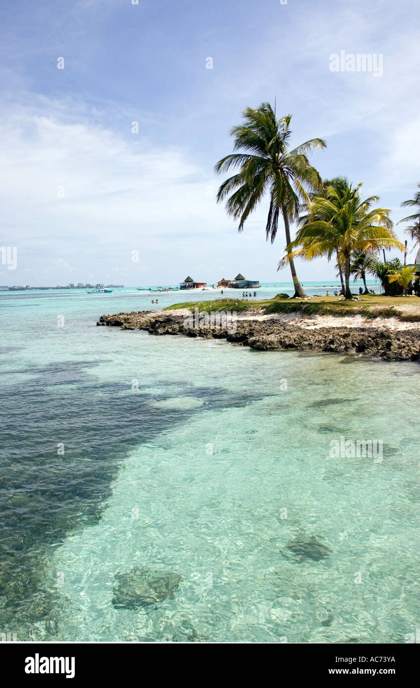 Island tree colombia hi-res stock photography and images - Alamy
