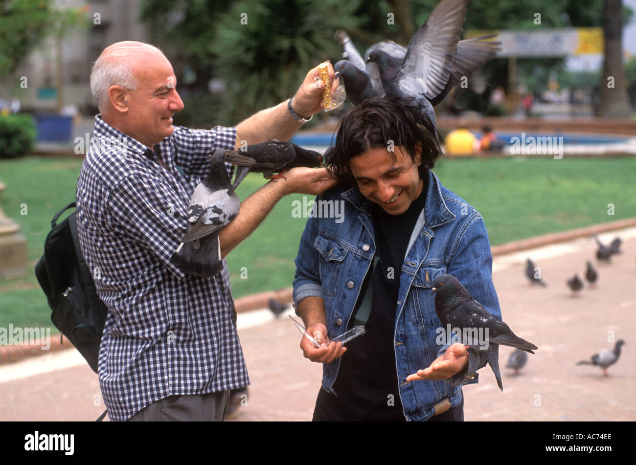 MEN FEEDING PIGEONS in PLAZA DE MAYO in the MICROCENTER district BUENOS AIRES ARGENTINA Stock Photo