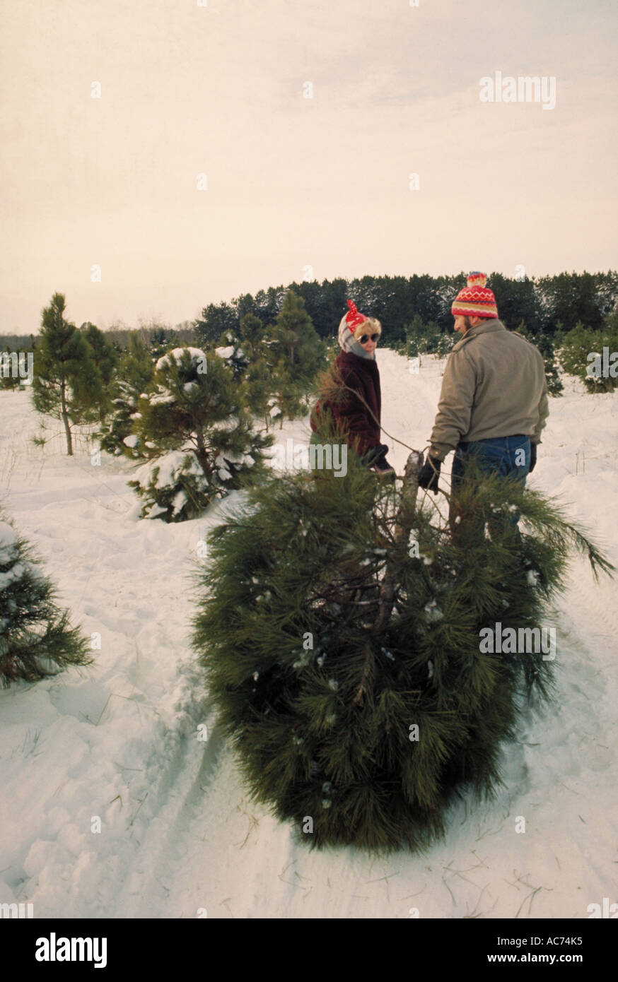 Couple bring home the Christmas tree. St. Paul, Minnesota Stock Photo Alamy