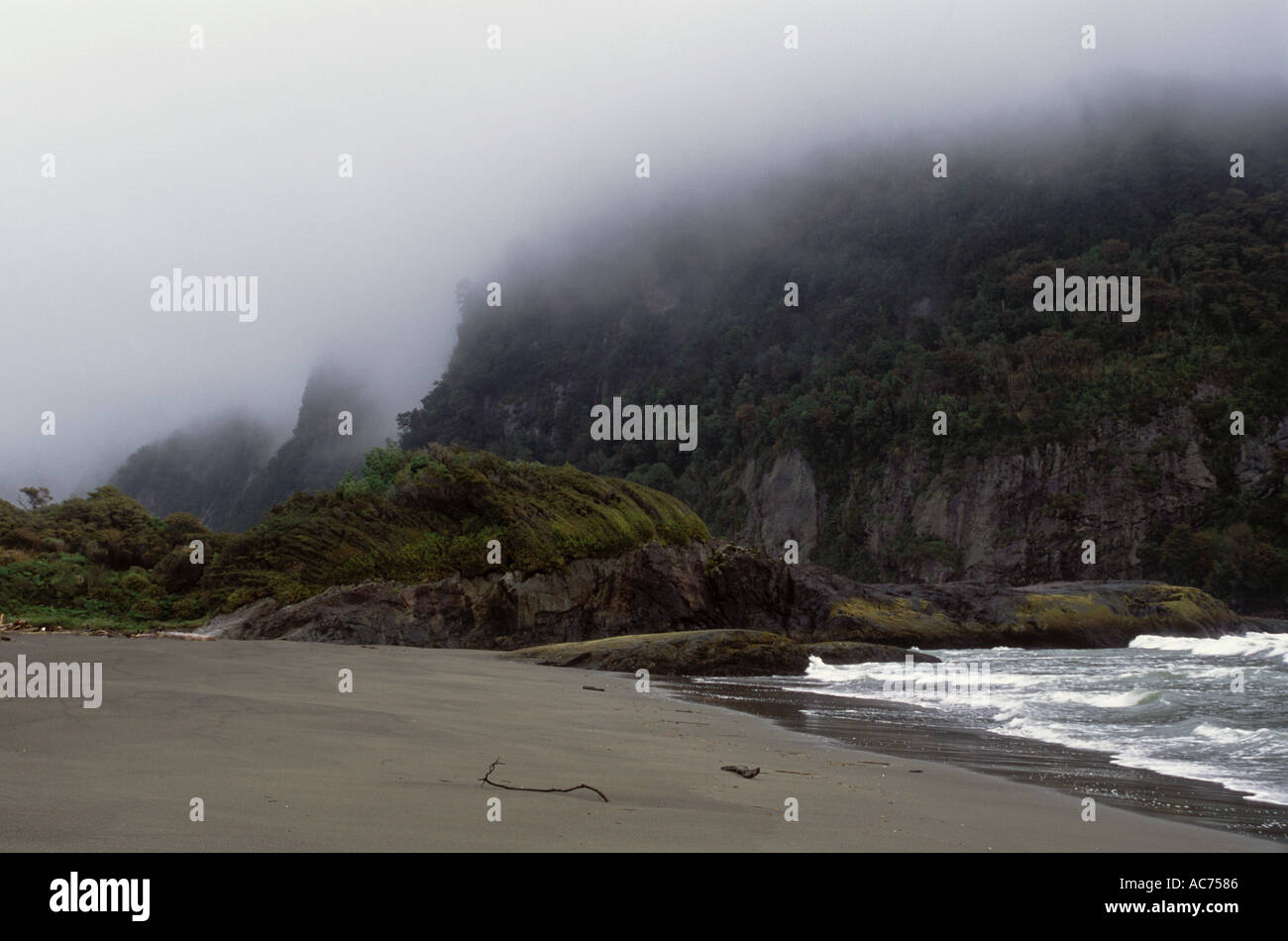 TONINAS BEACH Dolphin Beach in the TEMPERATE RAIN FOREST of NORTHERN  PATAGONIA west of LA JUNTA CHILE Stock Photo - Alamy