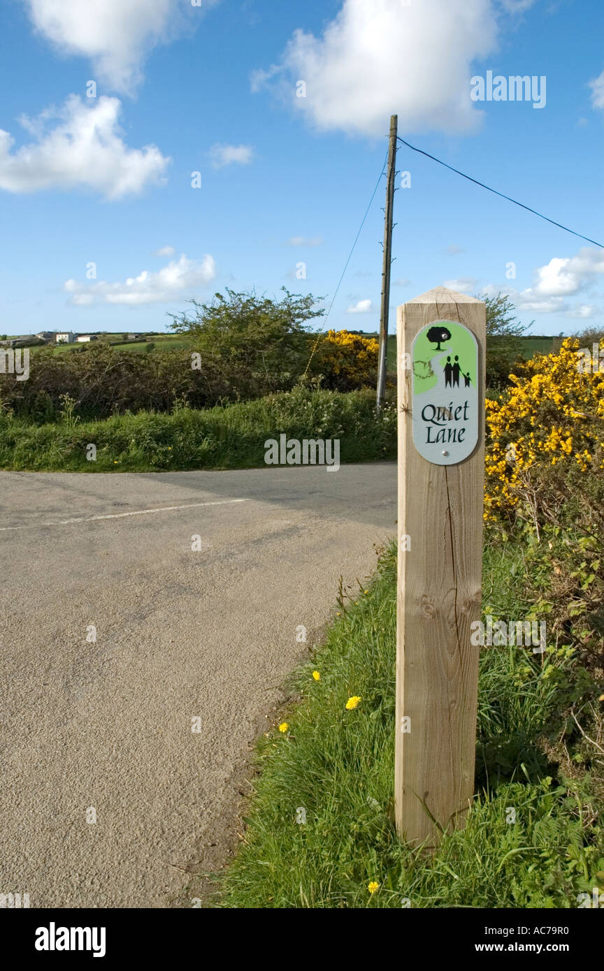 a lane in cornwall,england part of the nationwide quiet lanes scheme