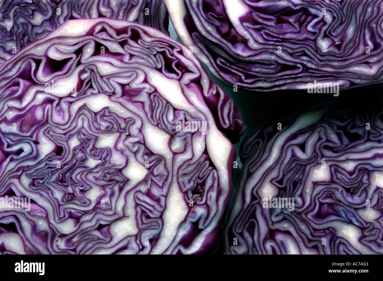 CROSS SECTION OF CABBAGE APPEARING LIKE PART OF BRAIN Stock Photo Alamy