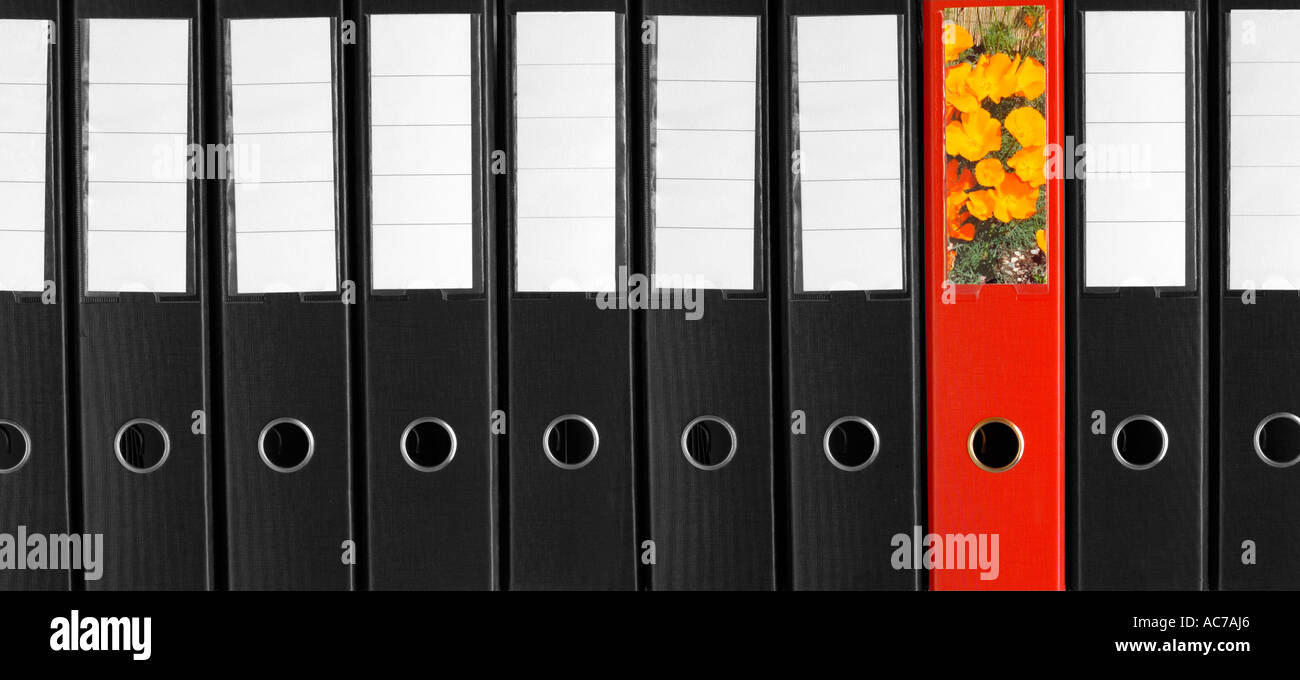 The odd one out - a red, floral file in a row of plain black and white ones Stock Photo