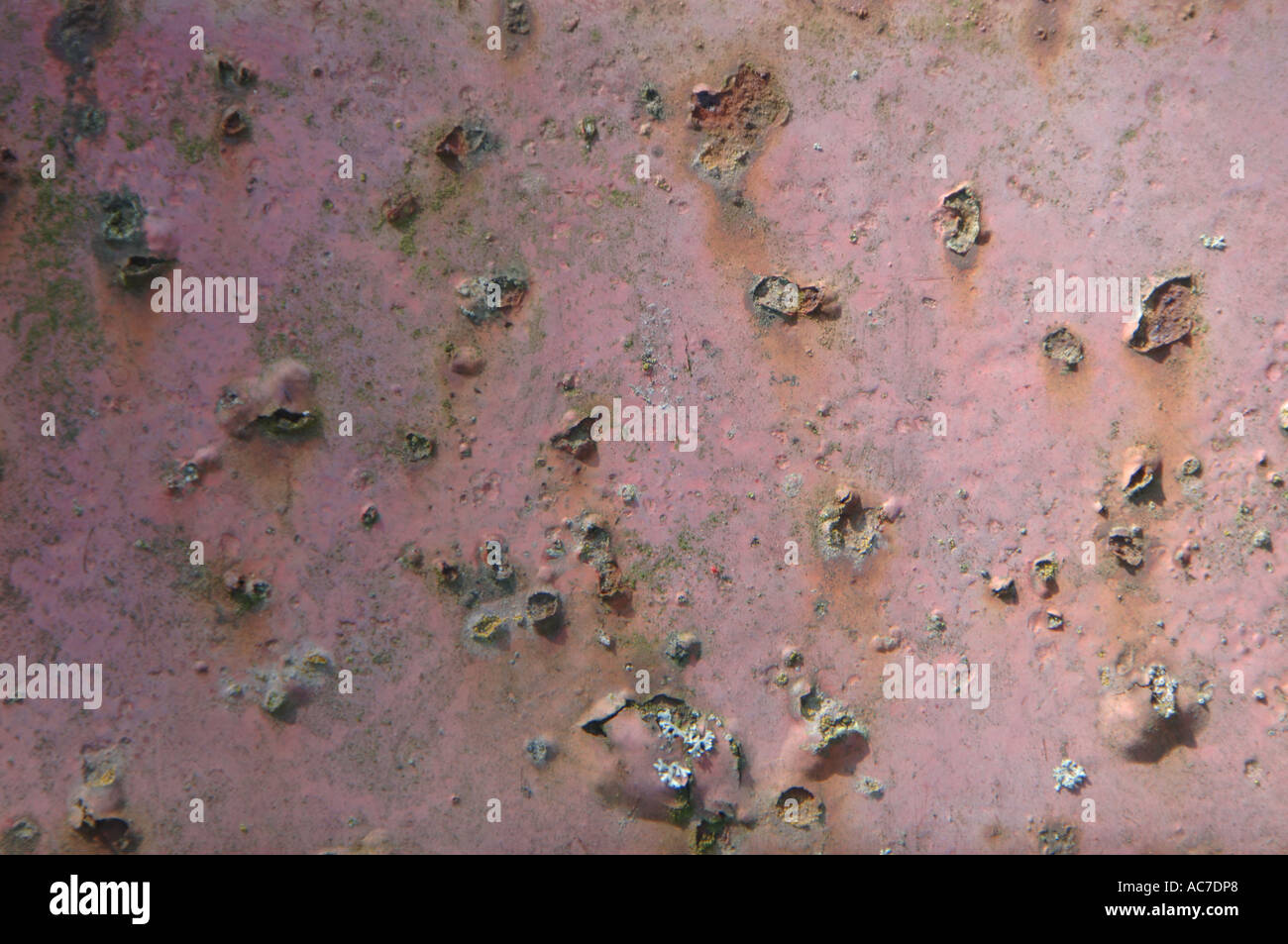 Red oxide paint hires stock photography and images Alamy