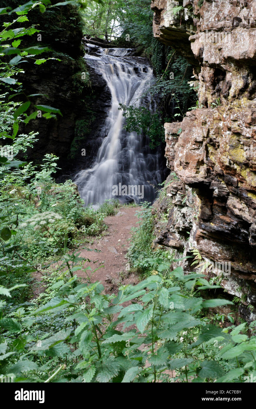 Hareshaw Linn Waterfall Bellingham Northumberland Stock Photo