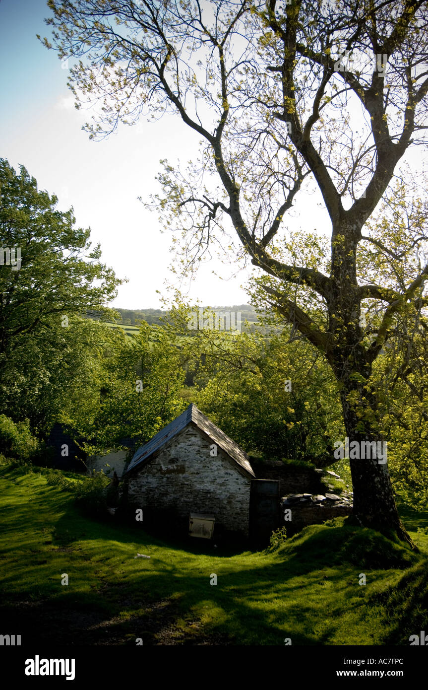 Small Cottage In The Woods Near Cribyn Ceredigion Mid Wales Uk