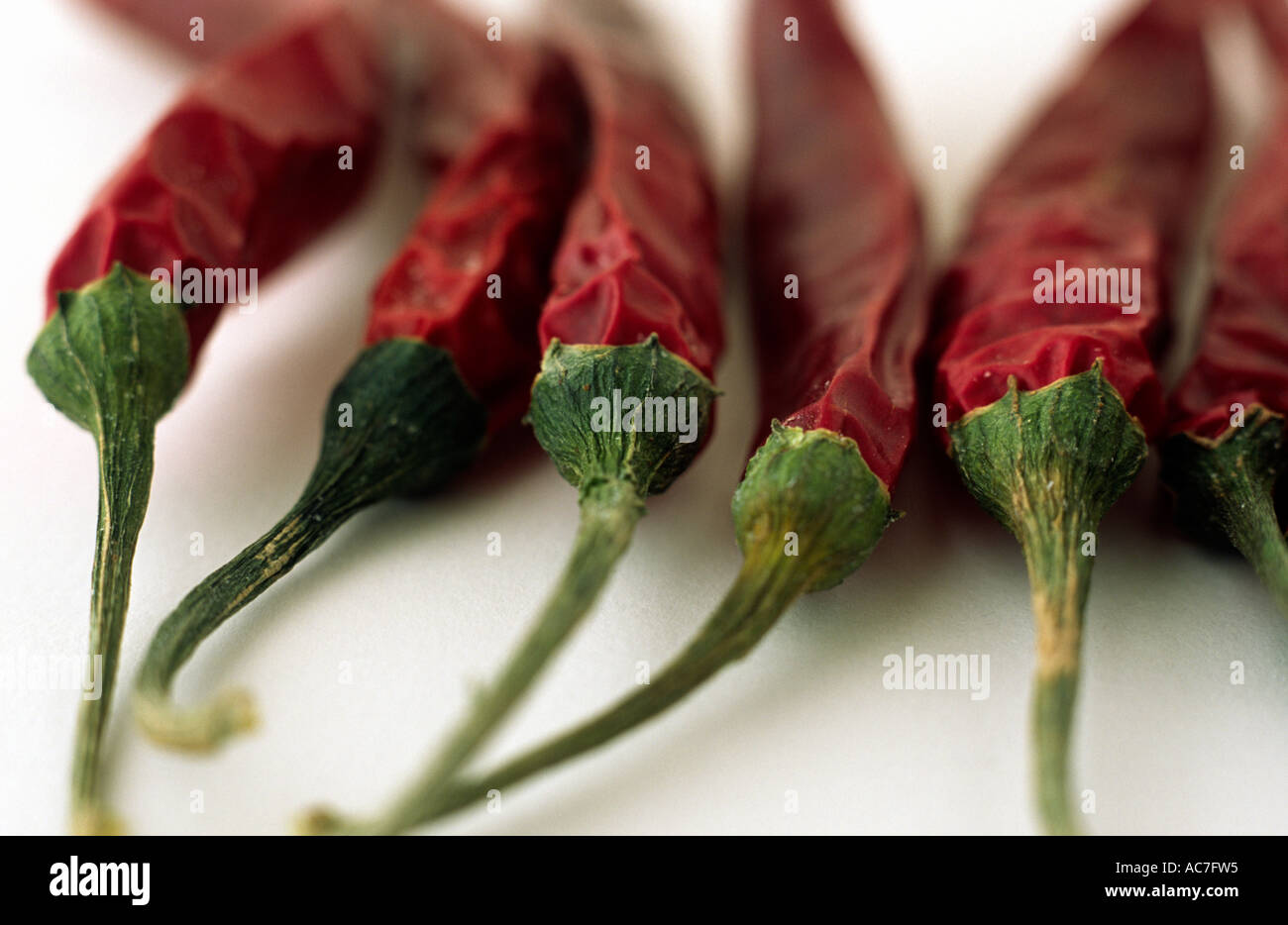 Dried chillis Stock Photo