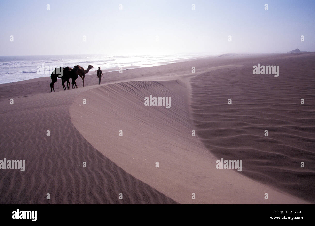 Benedict Allen on his journey through the Namib Naukluft desert Stock Photo